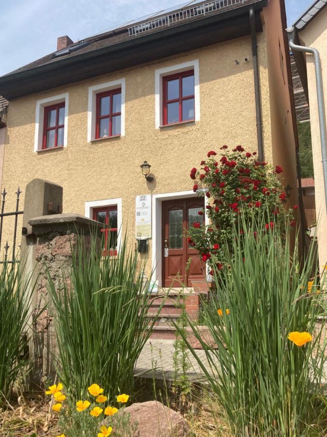 Radler Pension Wettin Esterno foto