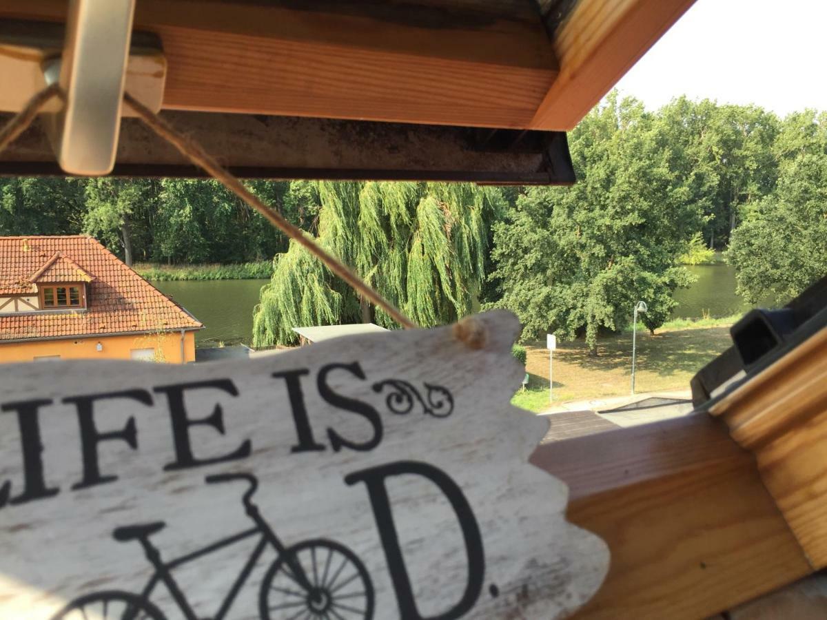 Radler Pension Wettin Esterno foto
